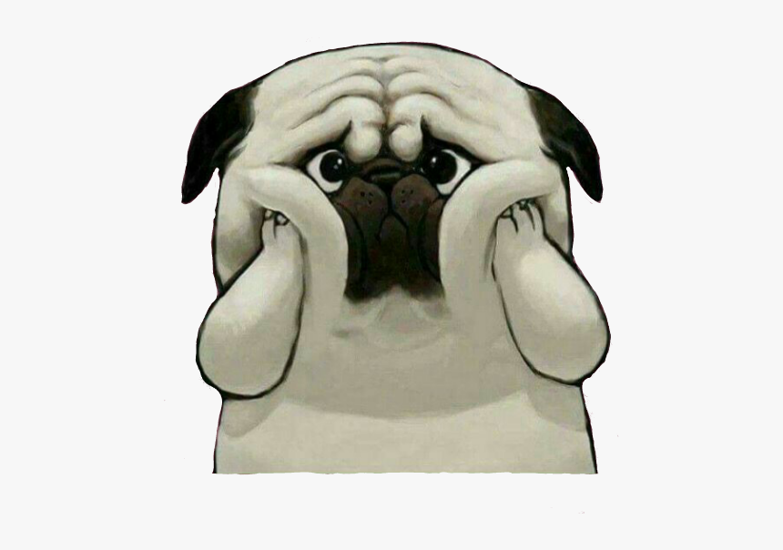 #pug #pugs #dog #perro #triste #pets & Animals #puppy - Sad Dog Png, Transparent Png