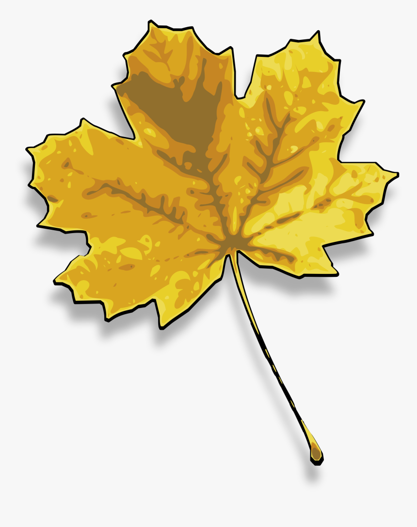 Maple Clipart Dry Leaf - Dried Leaf Clip Art, HD Png Download