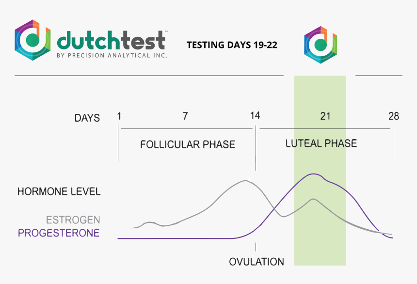 Diagram, HD Png Download