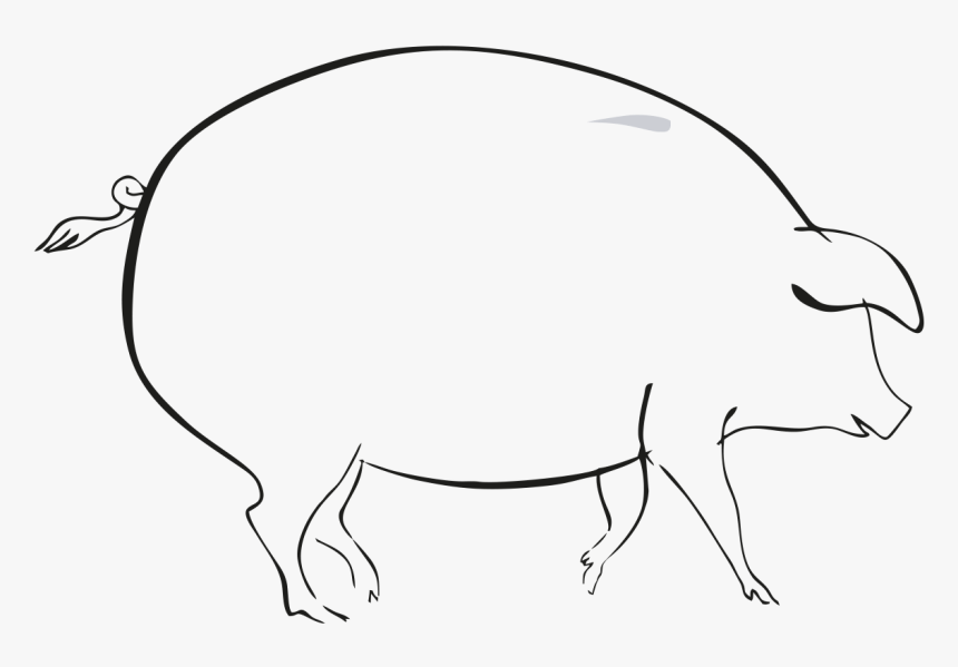 Sketch, HD Png Download