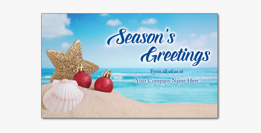 C127 Custom Starfish Greetings - Marine Invertebrates, HD Png Download