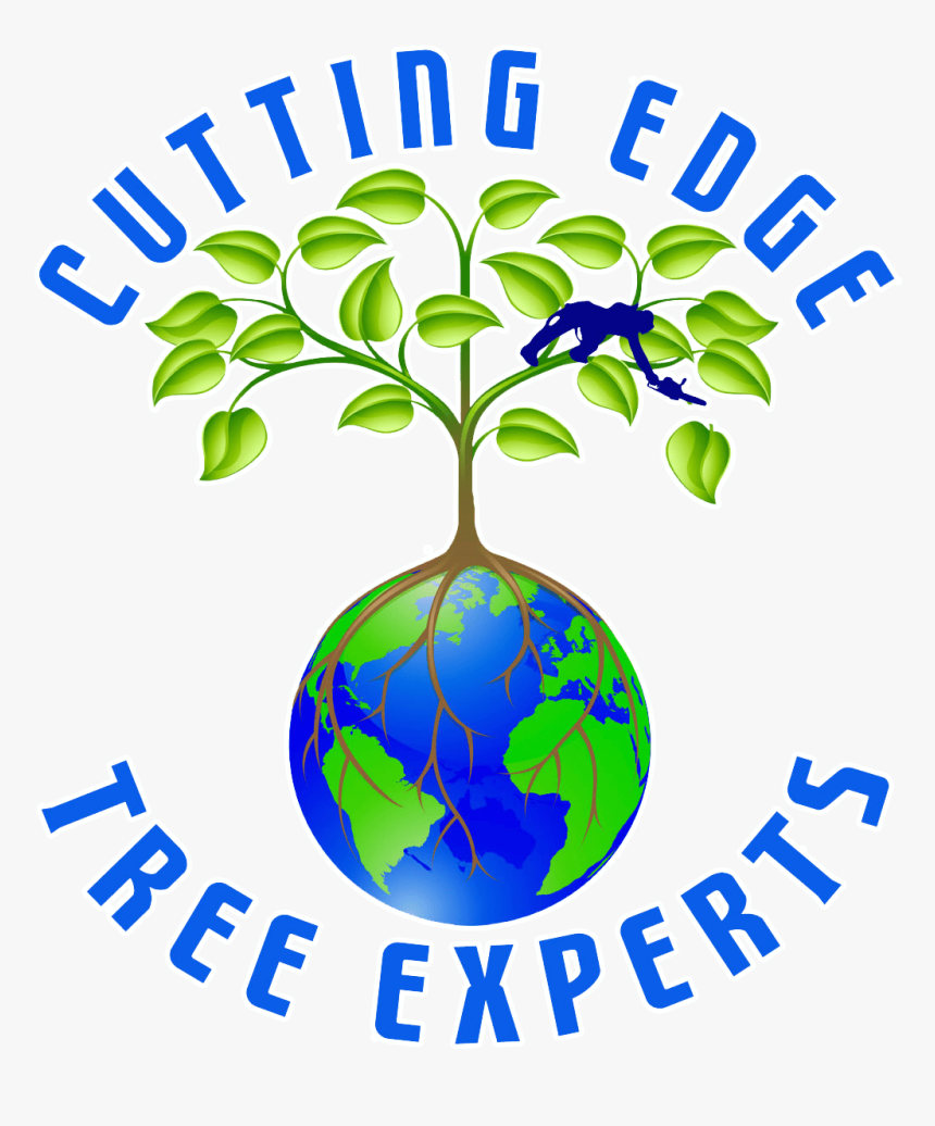 Lets Root For Each Other And Watch Each Other Grow, HD Png Download