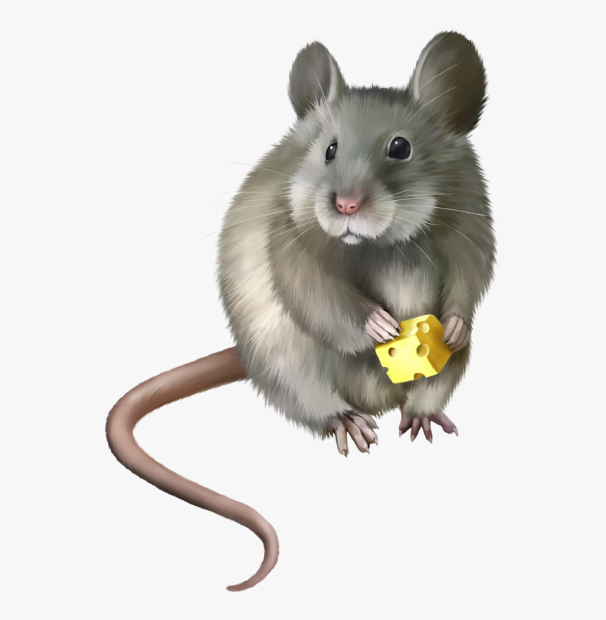 Мышь Png, Transparent Png