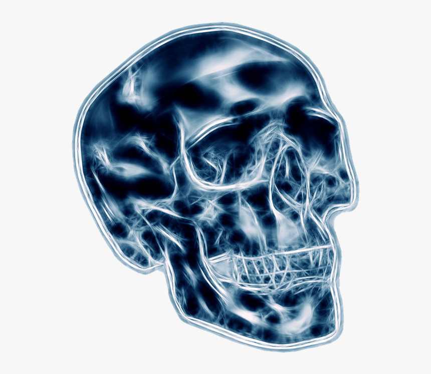 Skull, Death, Halloween, Dead, Horror, Scary, Dark - Skull, HD Png Download