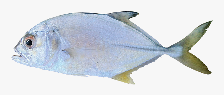 Oily Fish, HD Png Download