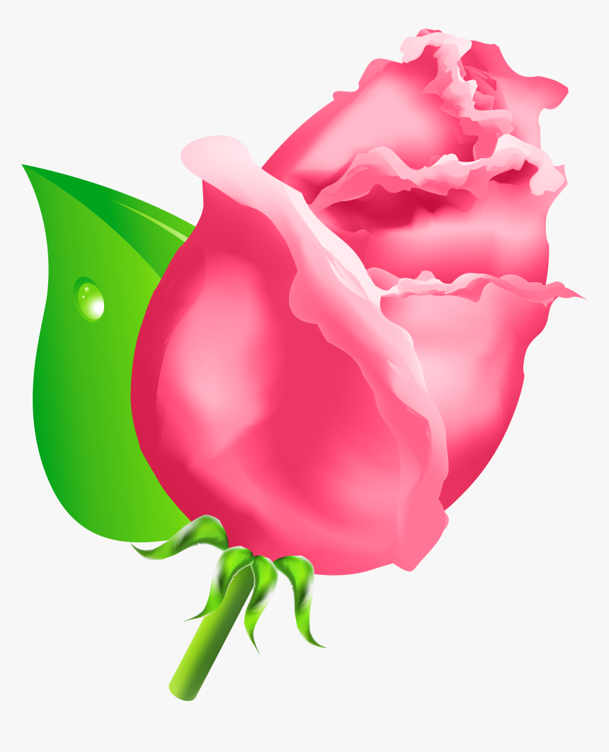 Rose Bud Png Clipart - Rose Bud Clip Art, Transparent Png