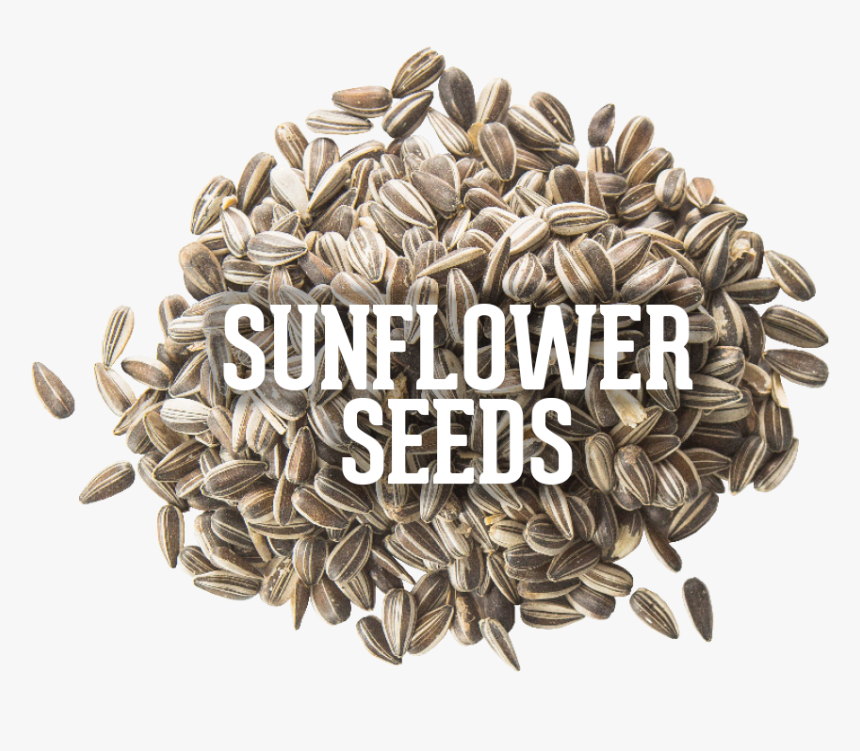 Sunflower Seed, HD Png Download
