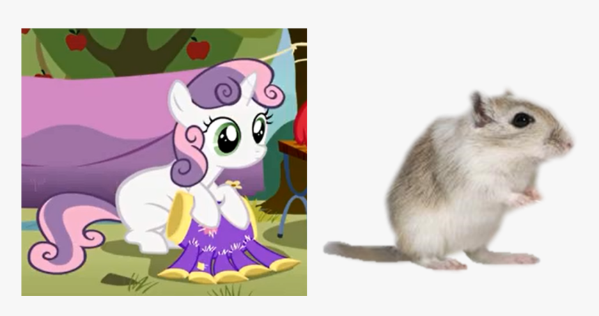 Transparent Gerbil Png - Sweetie Belle, Png Download