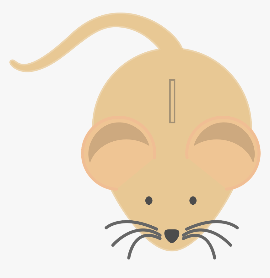 Colour The Mouse, HD Png Download