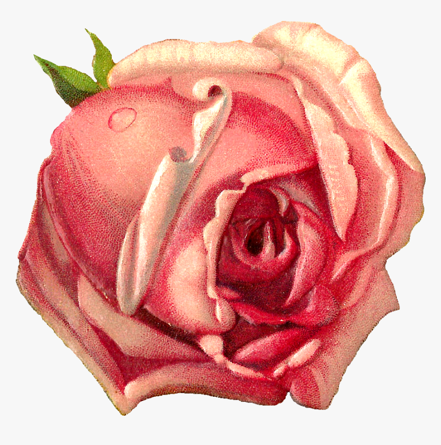 Transparent Red Icons, HD Png Download