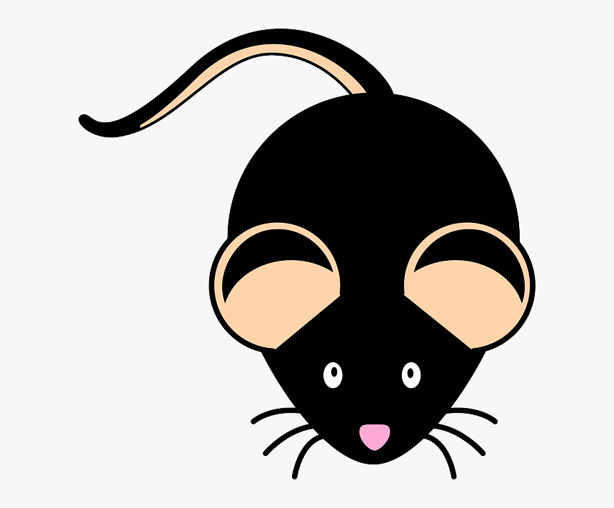 Researchers Study Mohawk Mice With Genetic Mutation - Black Mouse Clipart, HD Png Download
