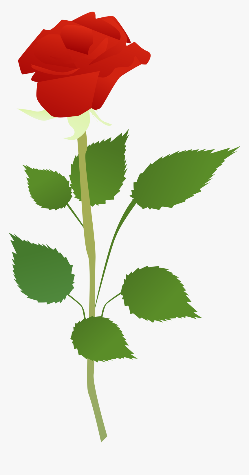 Flower Big Image Png - Clip Art, Transparent Png