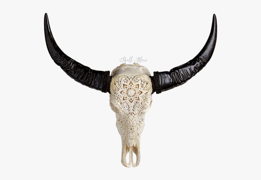 Cattle Horn Animal Skulls Water Buffalo - Engraved Buffalo Skull, HD Png Download