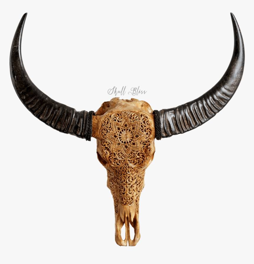 Bull, HD Png Download