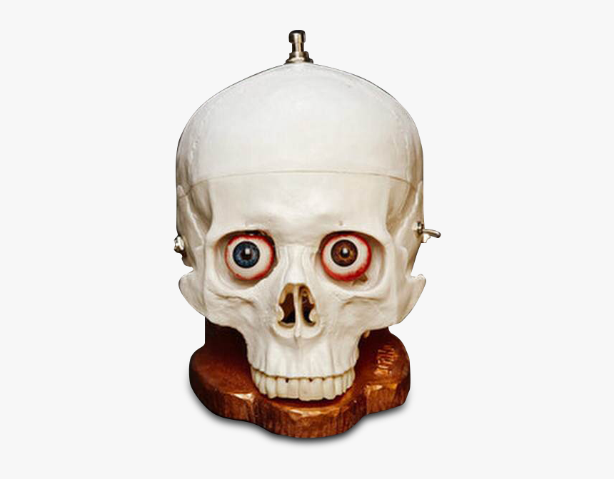 Skull Fuzz, HD Png Download