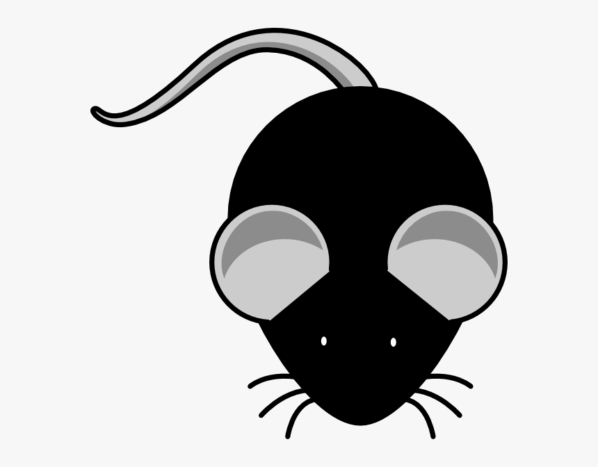 Transparent Orange Banner Clipart - Blue Mouse Clipart, HD Png Download