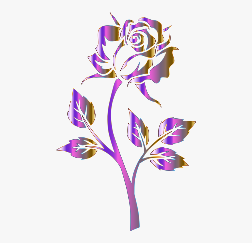 Plant,flora,rose Order - Clip Art Rose, HD Png Download
