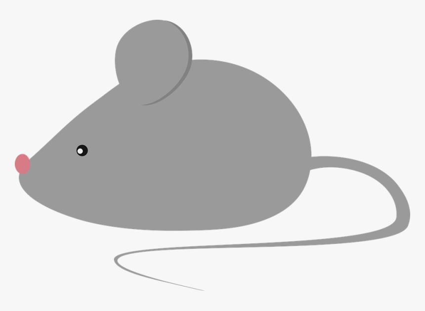 Mouse, Rodedor, Adorable, Hairy, Mammal - Cartoon, HD Png Download