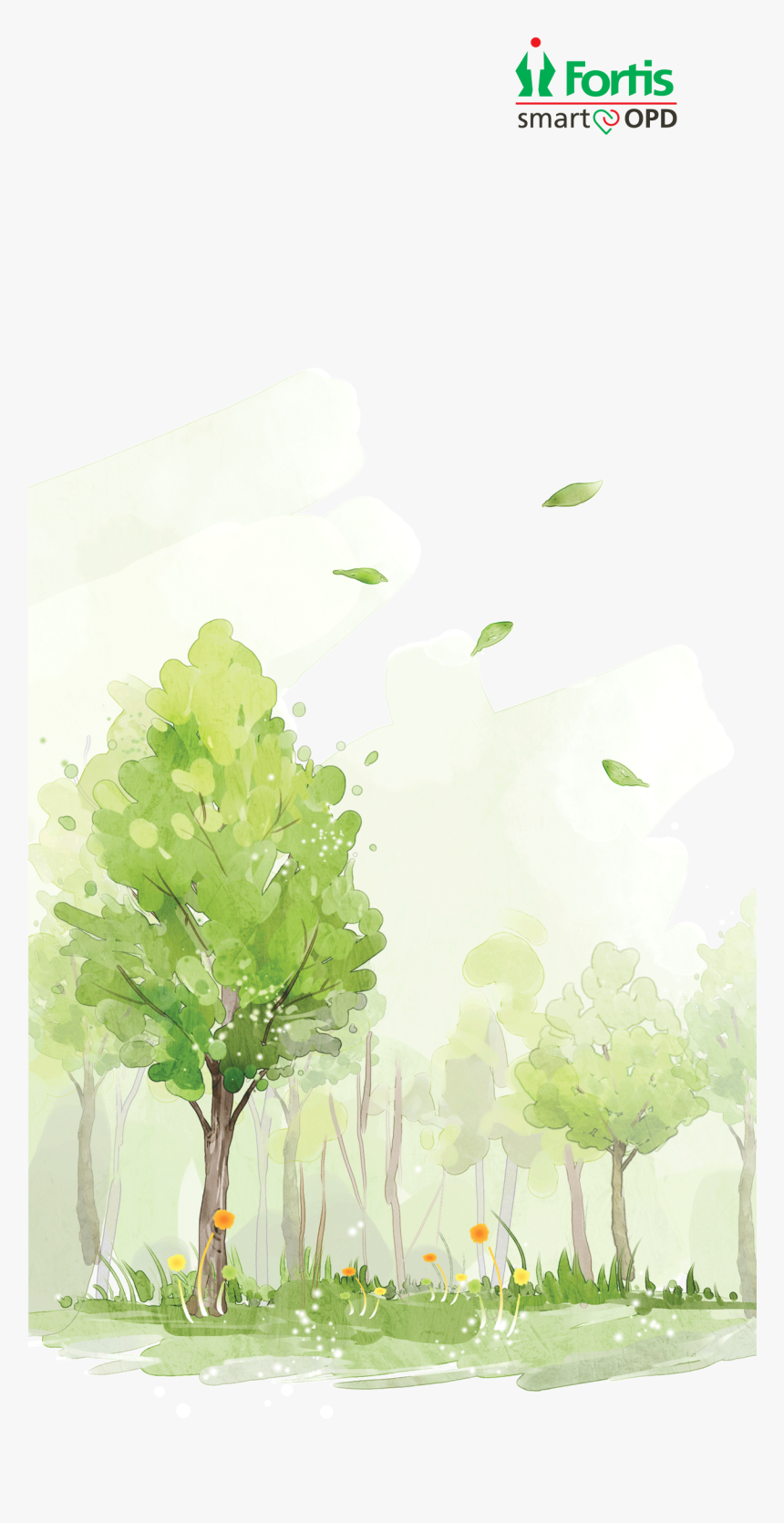 Fortis Malar Hospital - Maidenhair Tree, HD Png Download