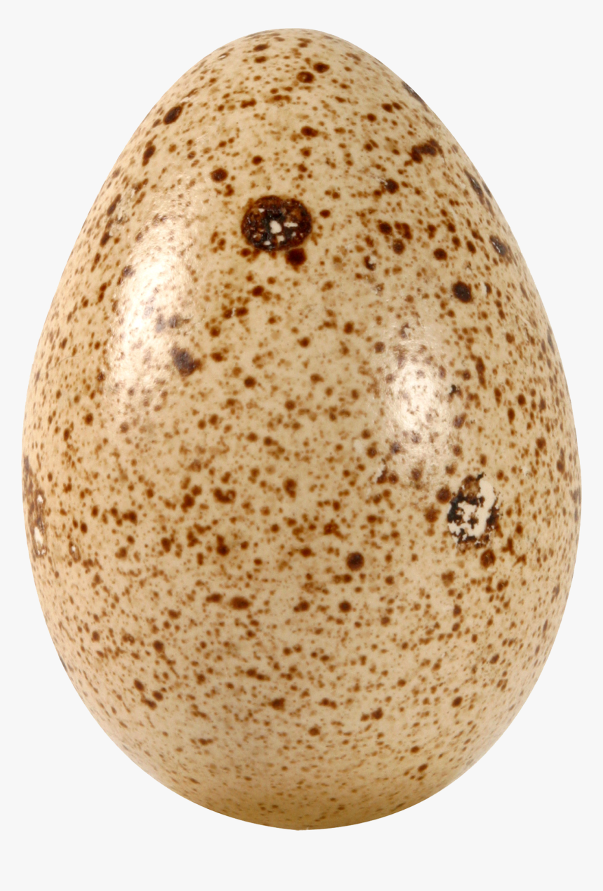 Eggs Png Picture - Huevo De Codorniz Png, Transparent Png