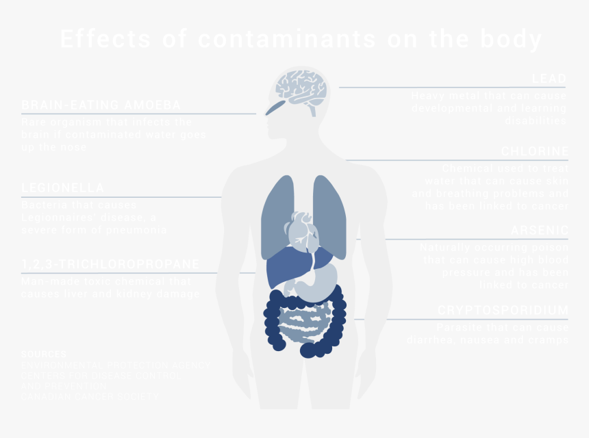Transparent Unknown Person Png - Effects Of Contaminated Water Has, Png Download