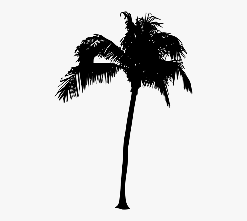 Palm Tree Silhouette Png, Transparent Png