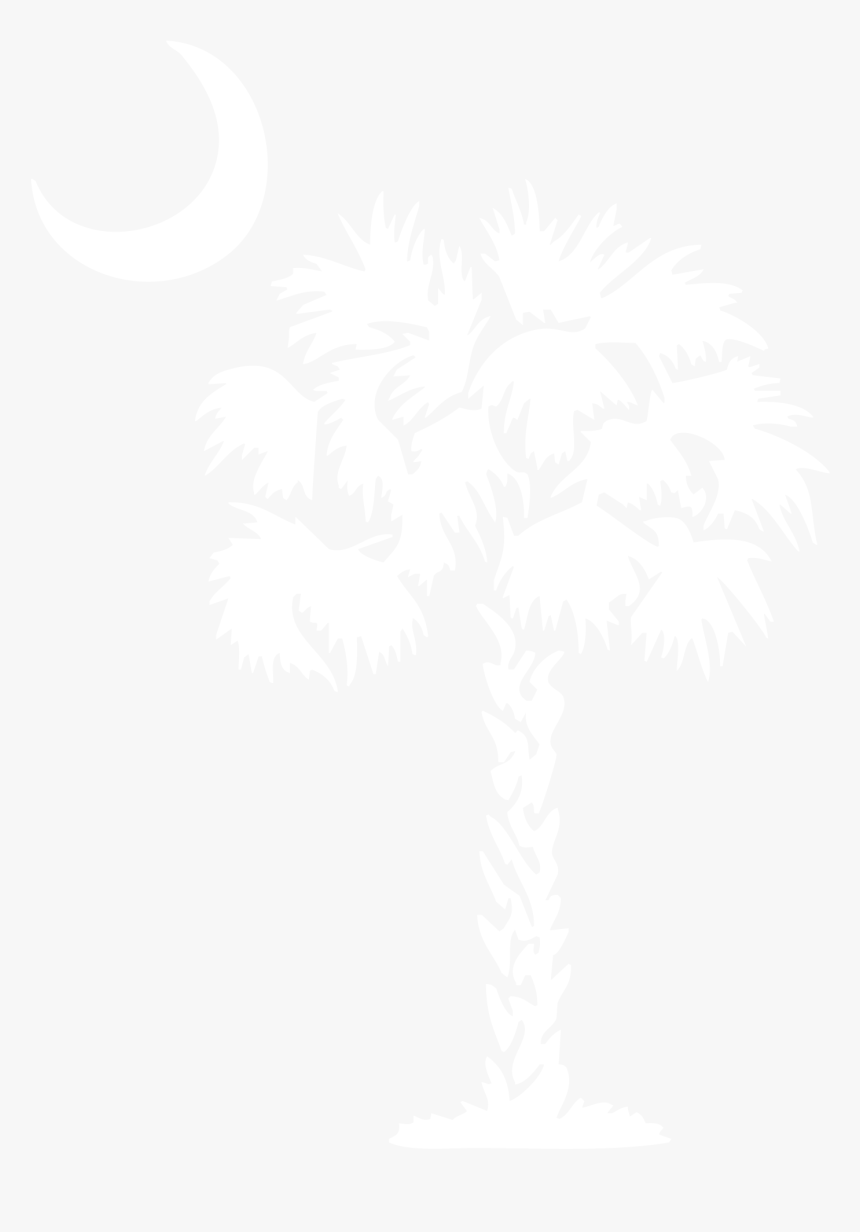 White Palm Tree With Transparent Background, HD Png Download