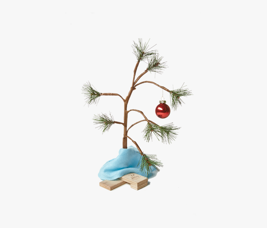 Charlie Brown Christmas Tree Png - Transparent Charlie Brown Tree Png, Png Download