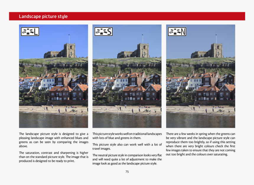 Canon 80d Picture Style, HD Png Download