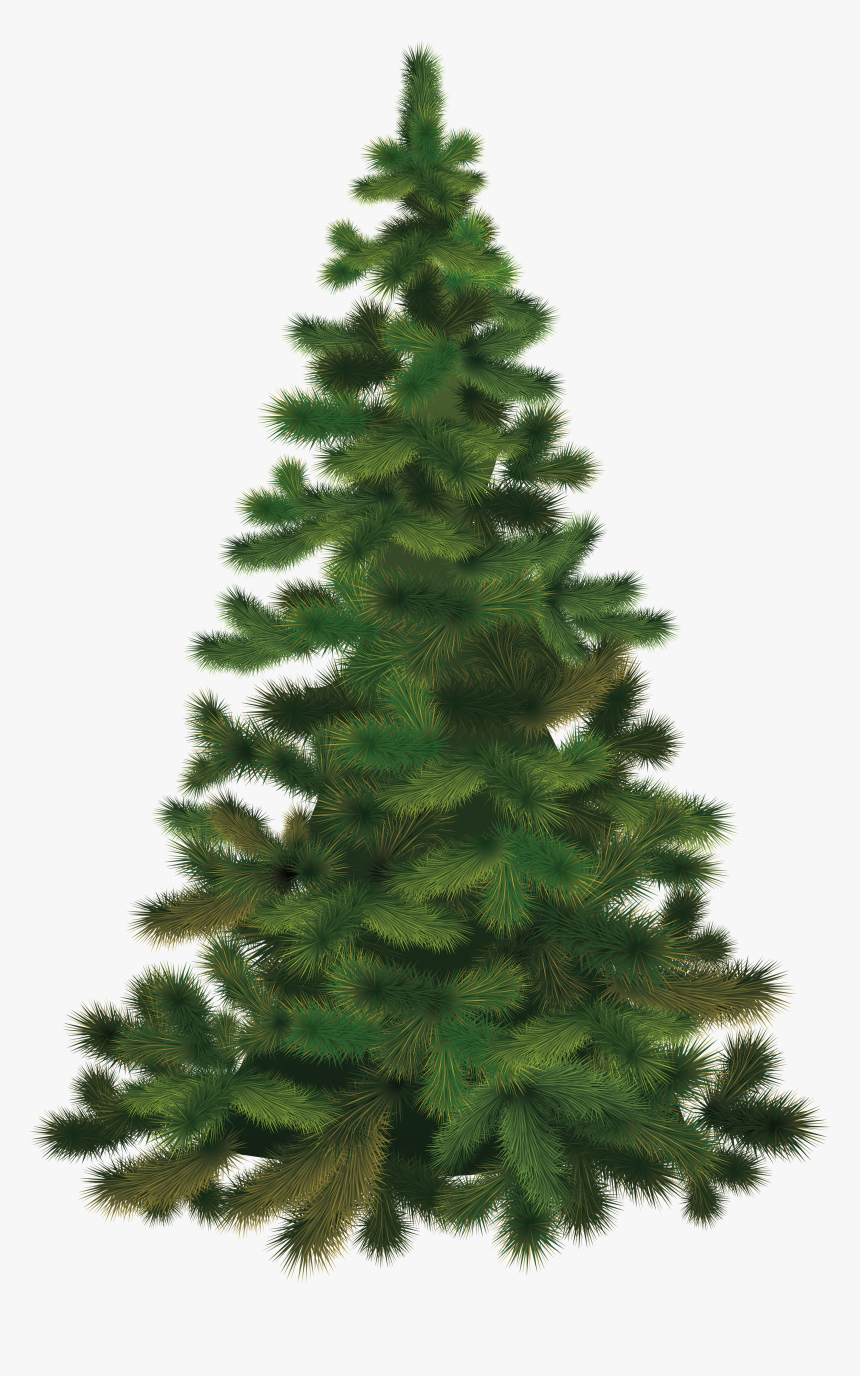Christmas Tree Png, Transparent Png