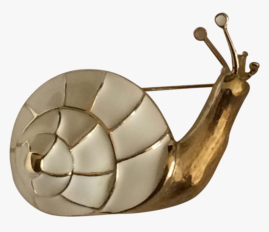 Snail, HD Png Download