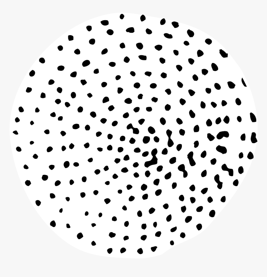Circulo De Puntos Png, Transparent Png