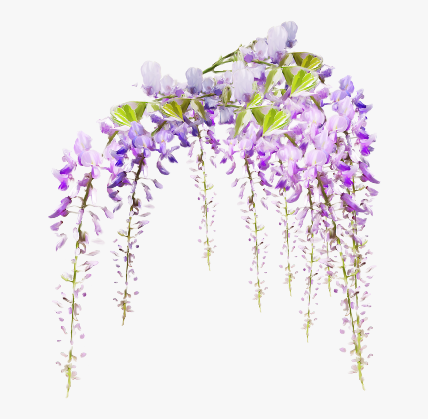 Tube Fleur - Page - Transparent Background Flowering Vines Png, Png Download