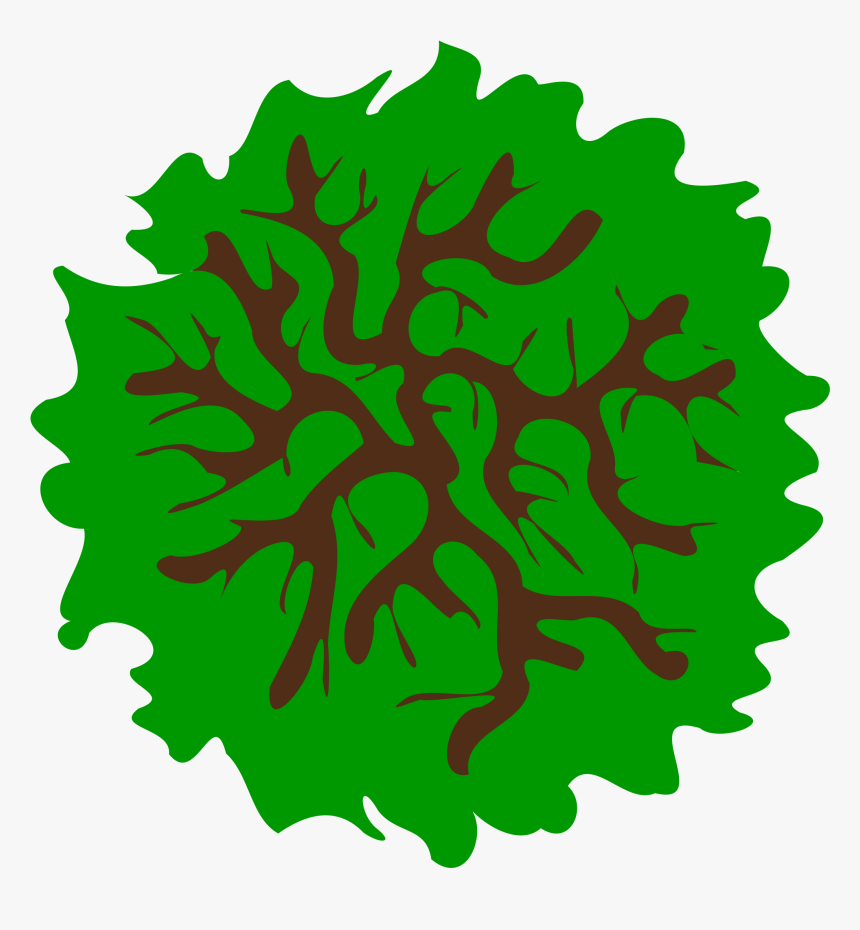 Tree Clip Art Microsoft - Clip Art, HD Png Download