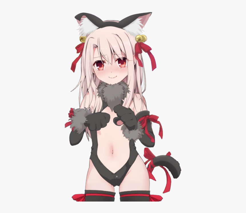 Illya Fate Kaleid Neko, HD Png Download