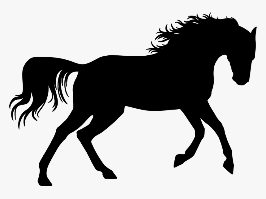Dressage Horse Silhouette, HD Png Download