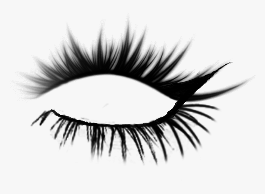 #eyelashes #righteye - Eyelash Brushes, HD Png Download