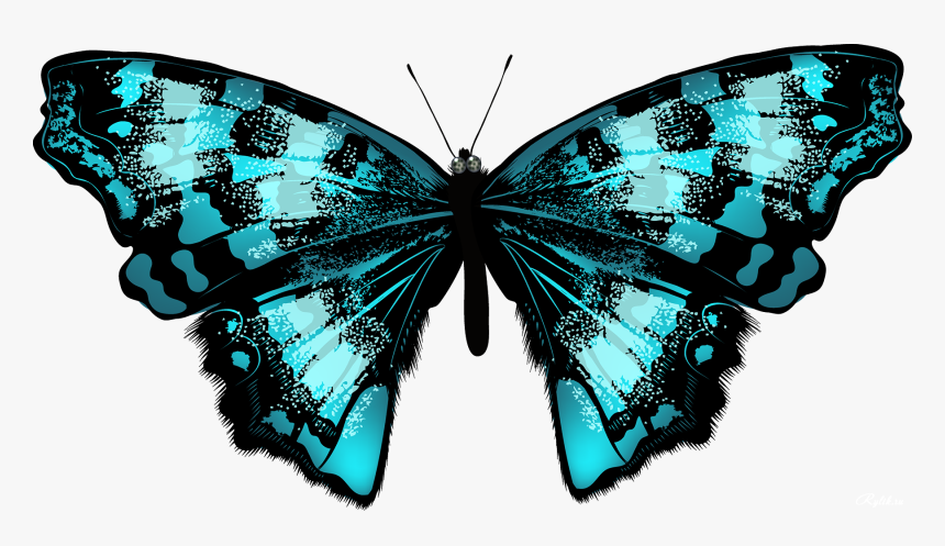 Clip Art, HD Png Download