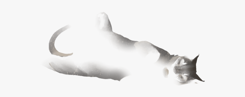 Manta Ray, HD Png Download