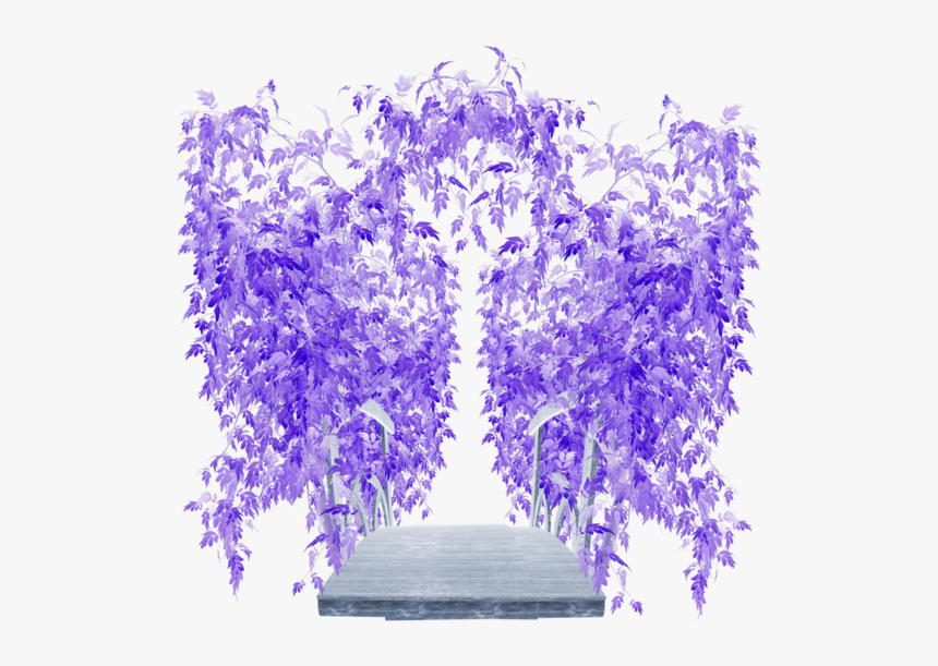 ♥ Poeme ♥ De Victor Hugo ♥ - Wisteria, HD Png Download
