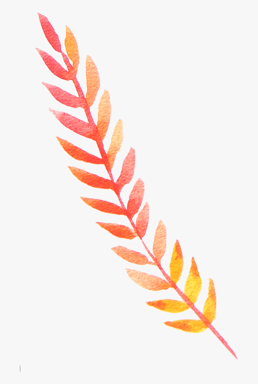 绿色的枝叶藤蔓 - Illustration, HD Png Download