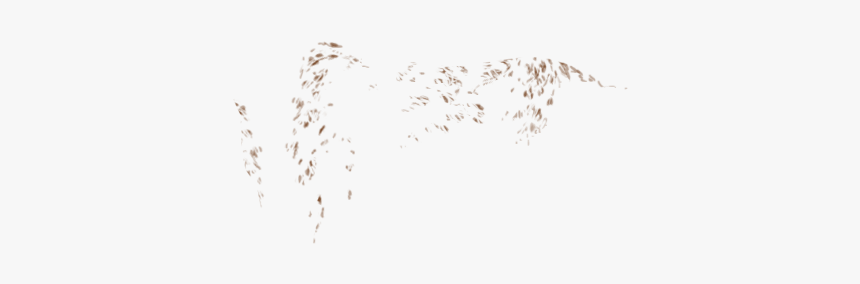 Flock, HD Png Download
