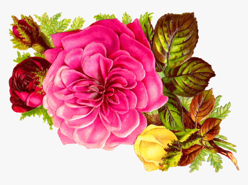 Flower Bouqet Clipart Jpg Transparent Habrumalas - Pink And Red Roses Art, HD Png Download