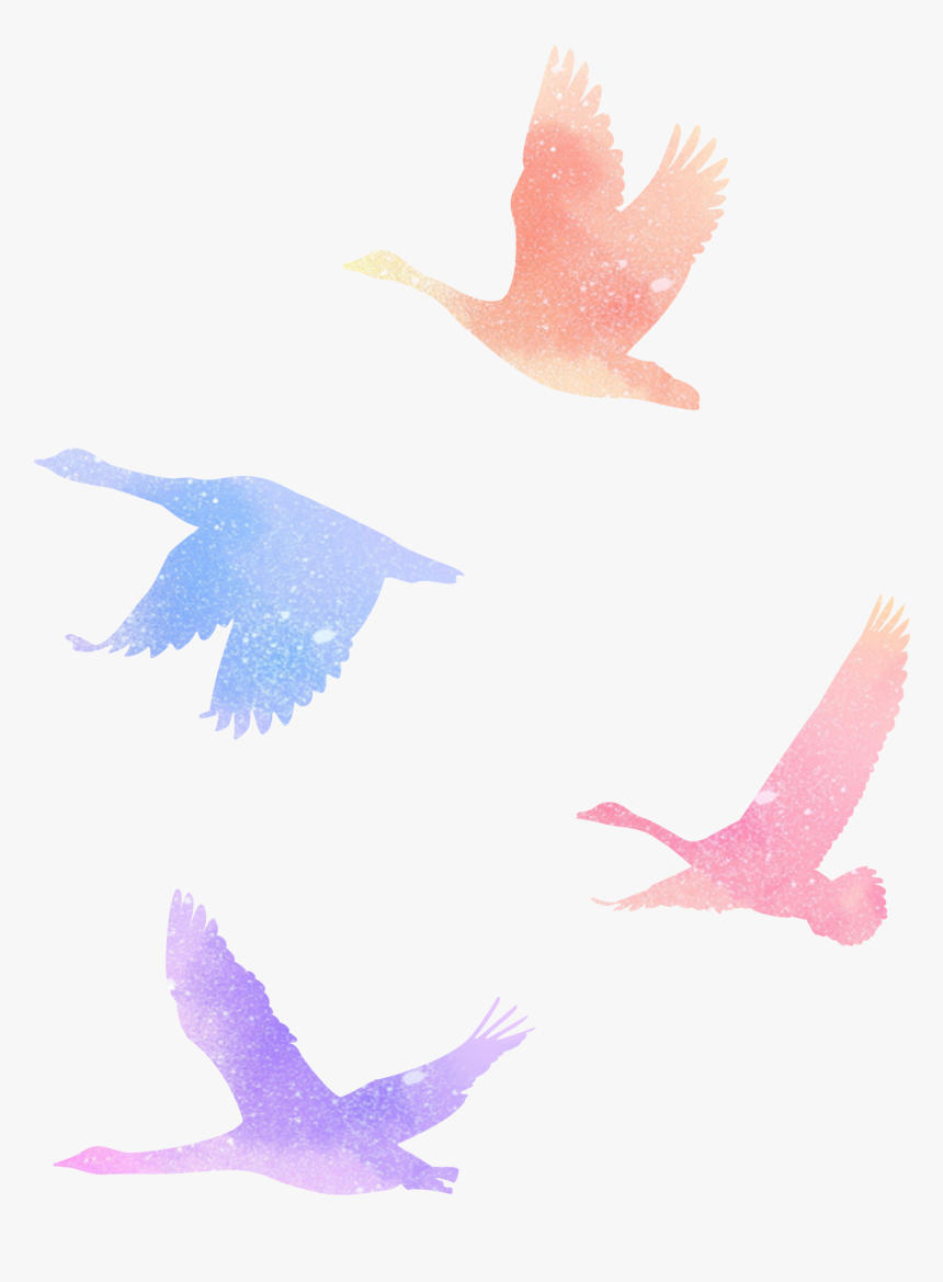 Flock, HD Png Download