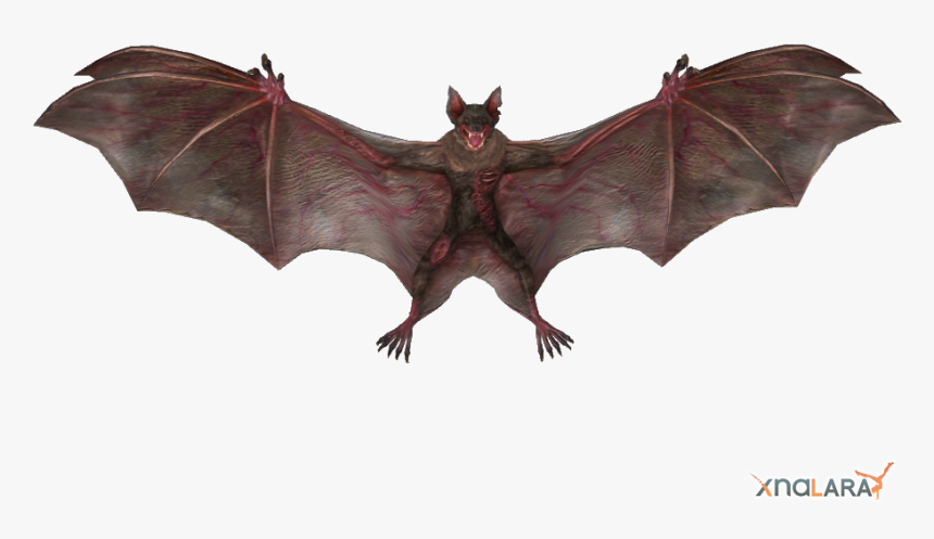 Vampire Bat, HD Png Download
