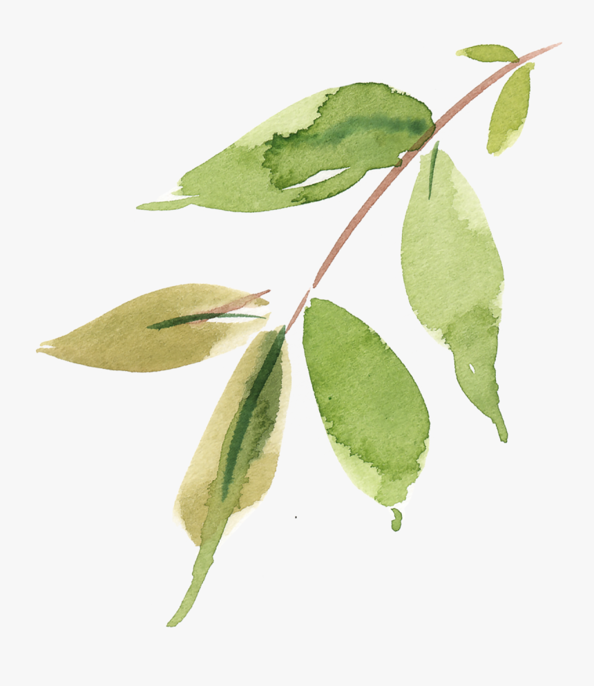 Fire Cherry, HD Png Download