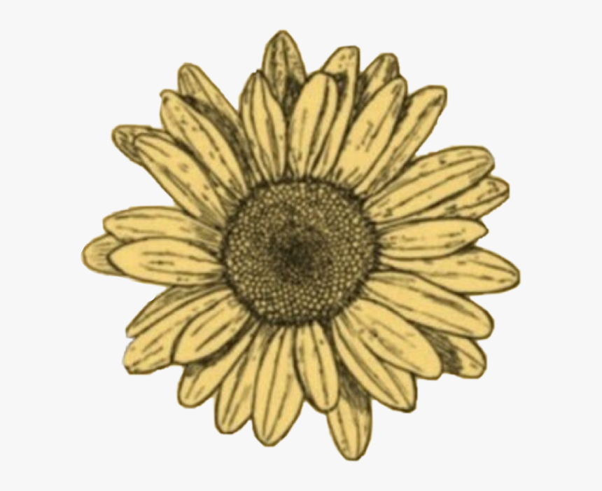 #freetoedit #doodle #sunflower #sun #sunshine #flowers - Blue Sunflower Sticker, HD Png Download