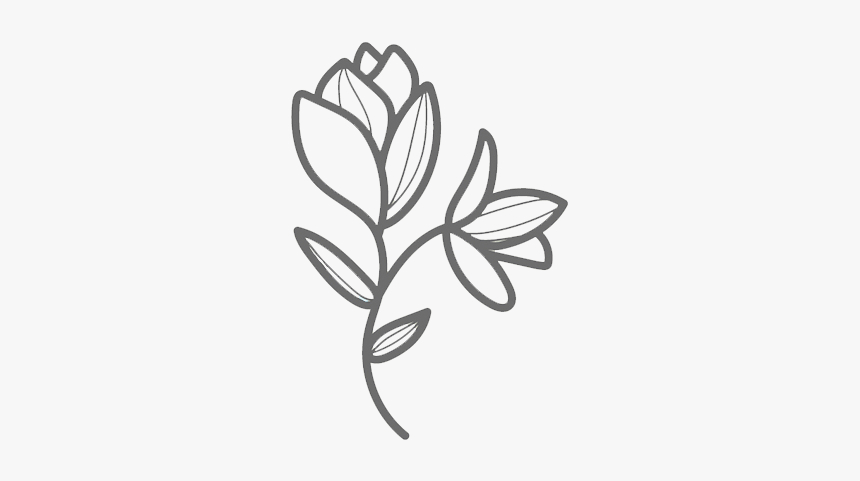 Line Art, HD Png Download