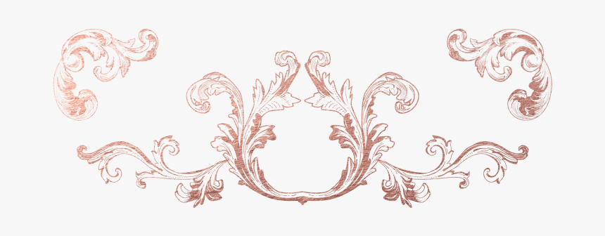 Floral Design, HD Png Download