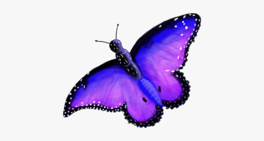 Butterflies Transparent Enchanted - Enchanted Butterfly, HD Png Download